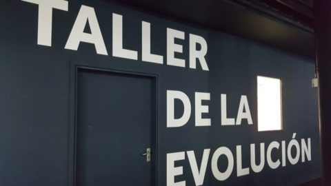 VOLAMOS A LAS PALMAS DE GRAN CANARIA